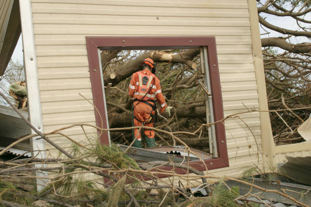 Best Root Management and Removal  in Cascade, IA